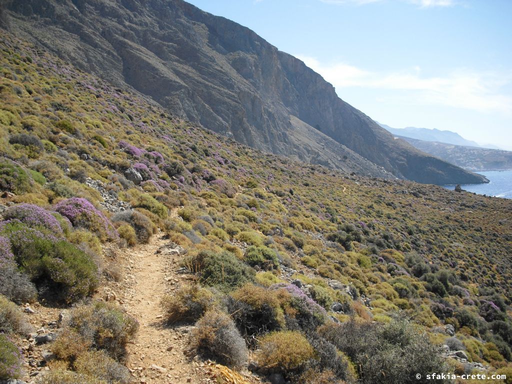 Photo report of a stay around Loutro, Sfakia, Crete in July 2009