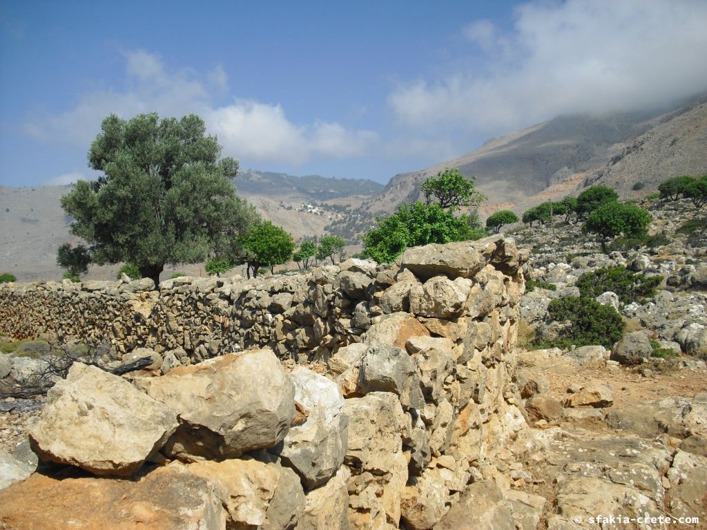 Photo report of a stay around Loutro, Sfakia, Crete in July 2009