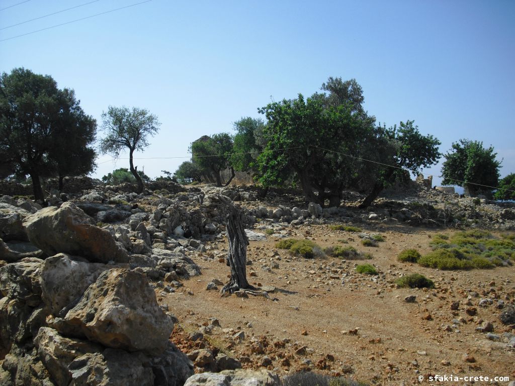 Photo report of a stay around Loutro, Sfakia, Crete in July 2009