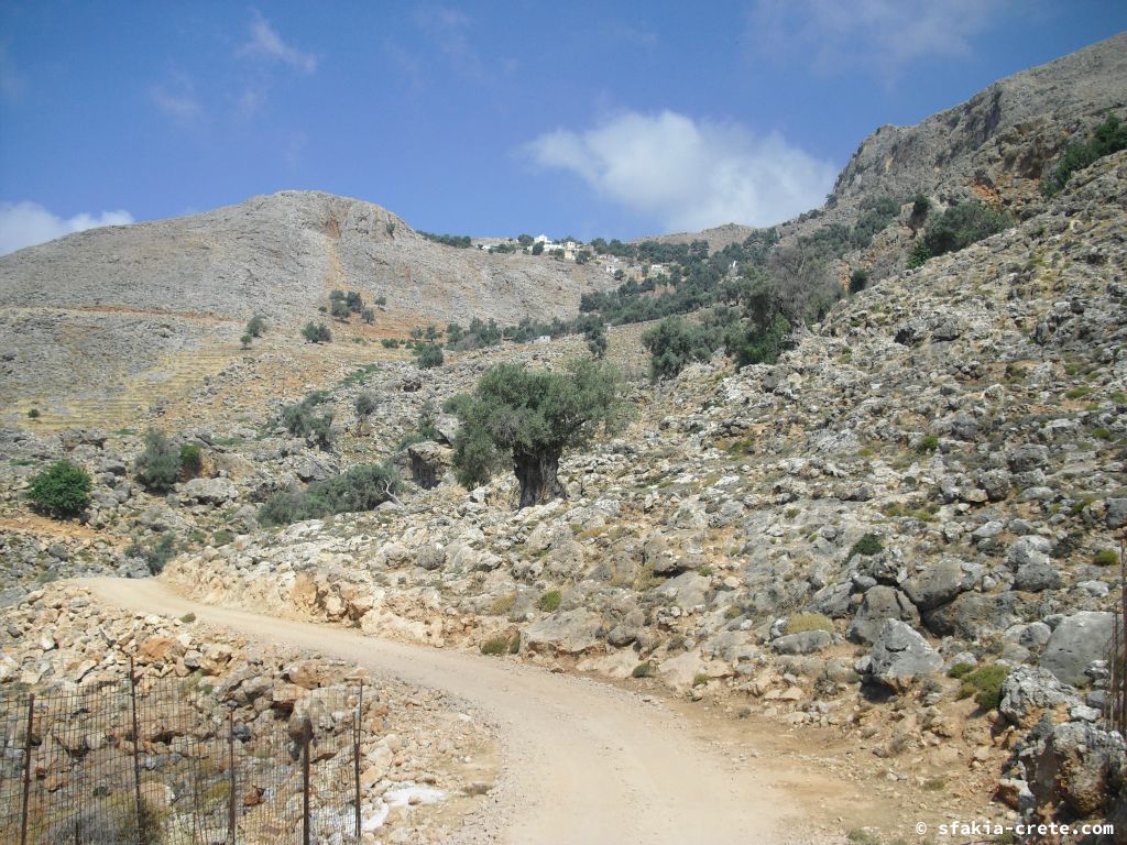 Photo report of a stay around Loutro, Sfakia, Crete in July 2009