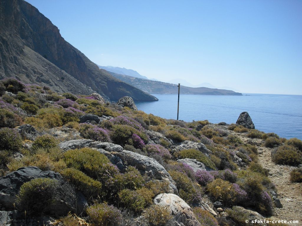 Photo report of a stay around Loutro, Sfakia, Crete in July 2009