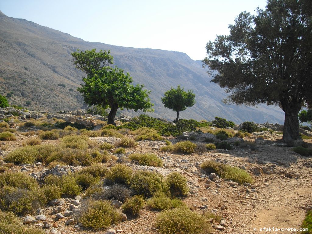 Photo report of a stay around Loutro, Sfakia, Crete in July 2009