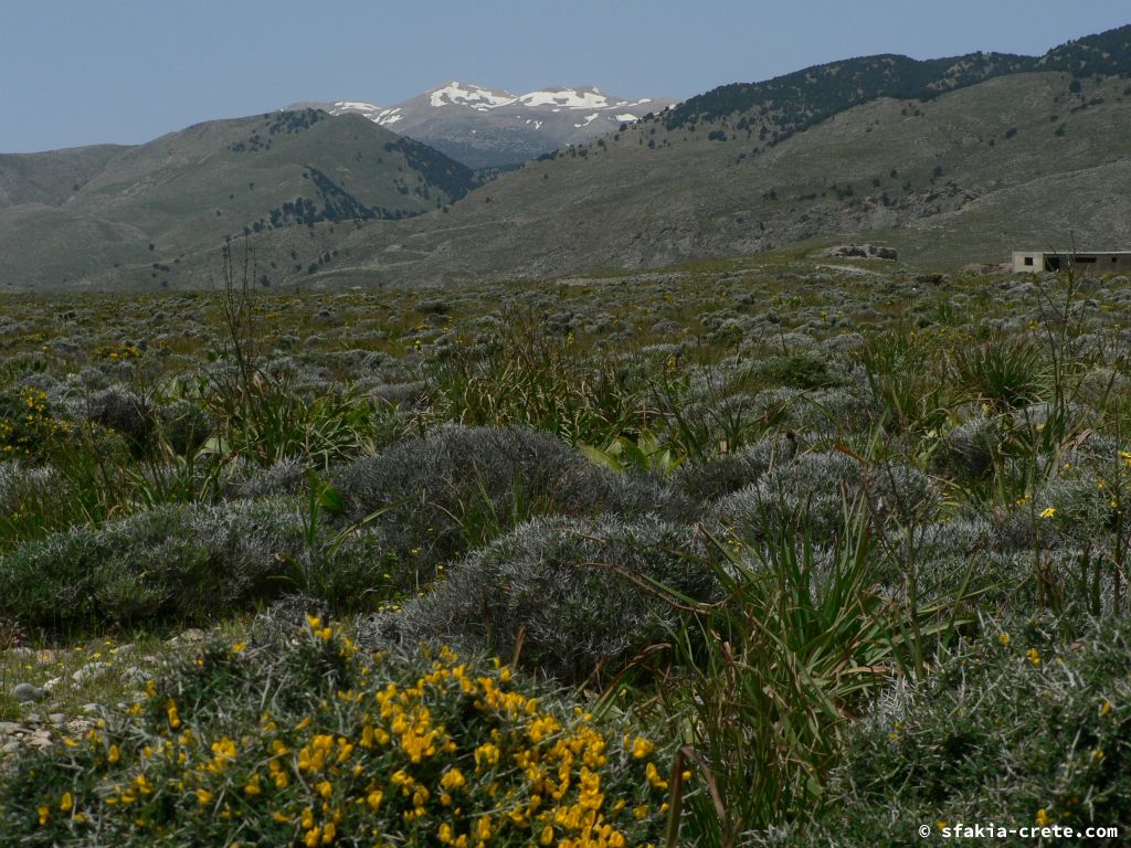 Photo report of the coast east of Chora Sfakion, Sfakia, Crete from April 2009