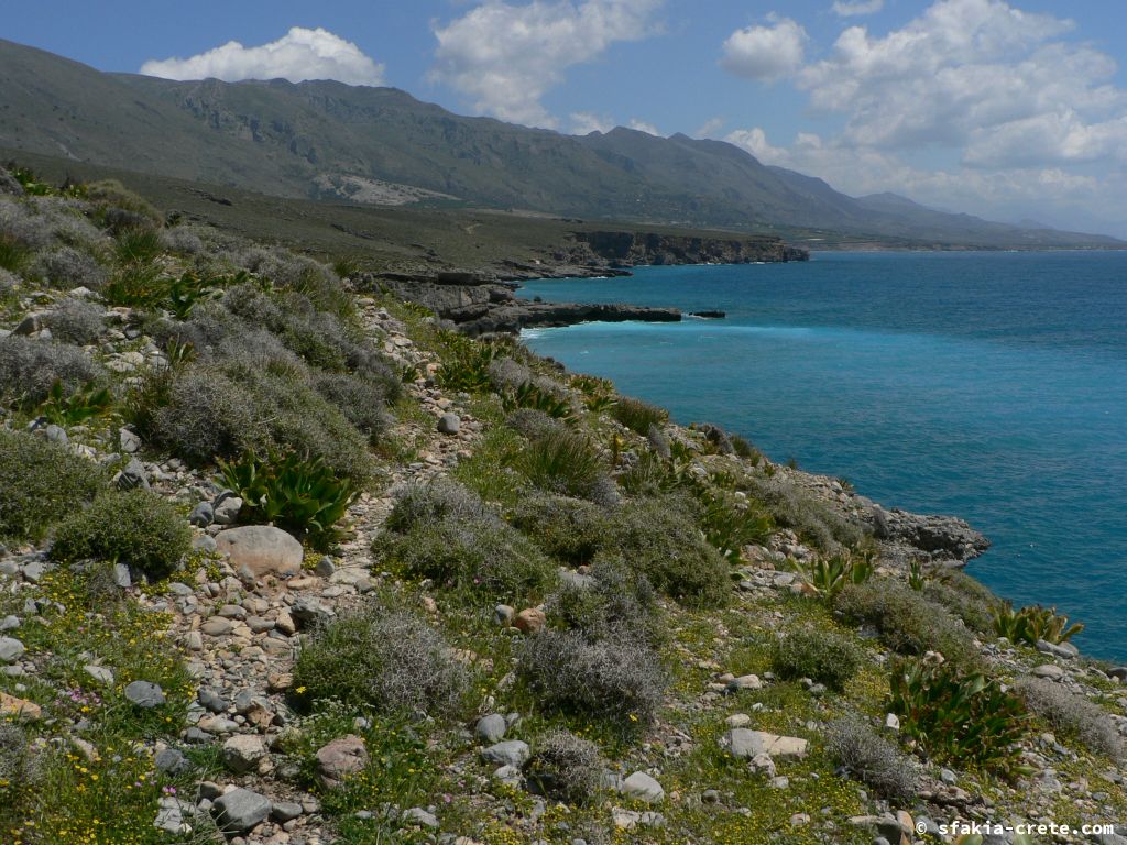 Photo report of the coast east of Chora Sfakion, Sfakia, Crete from April 2009