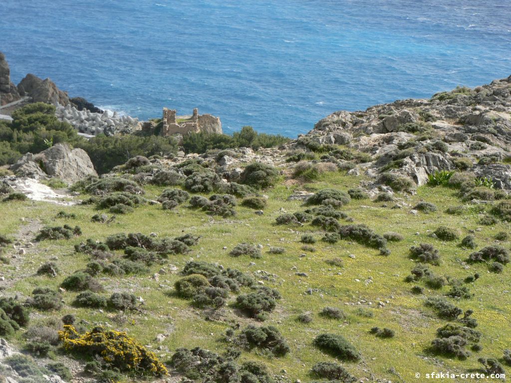 Photo report of a visit to Giorgitsi, uninhabited village above Chora Sfakion, Sfakia, Crete