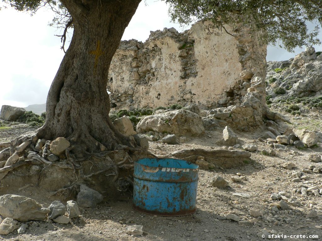 Photo report of a visit to Giorgitsi, uninhabited village above Chora Sfakion, Sfakia, Crete