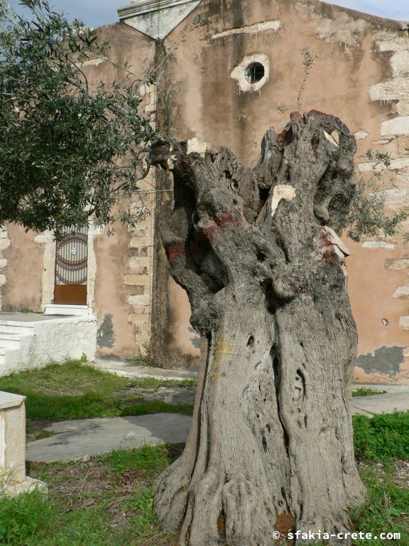 Photo report of a visit to Sfakia, Crete from April 2009