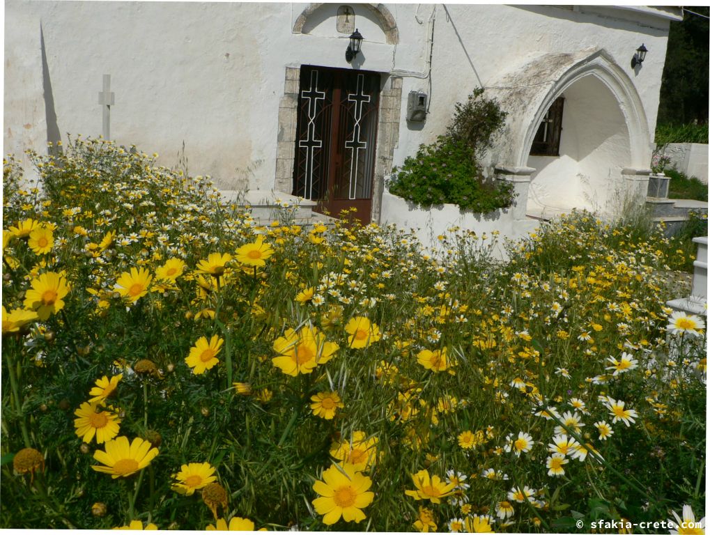 Photo report of a visit to Sfakia, Crete from April 2009