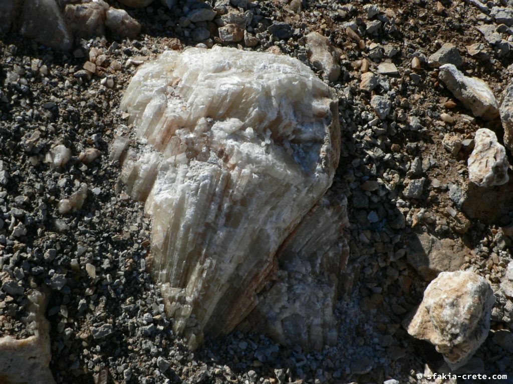 Photo report of a trip to the summit of Pachnes, Sfakia, Crete in October 2008