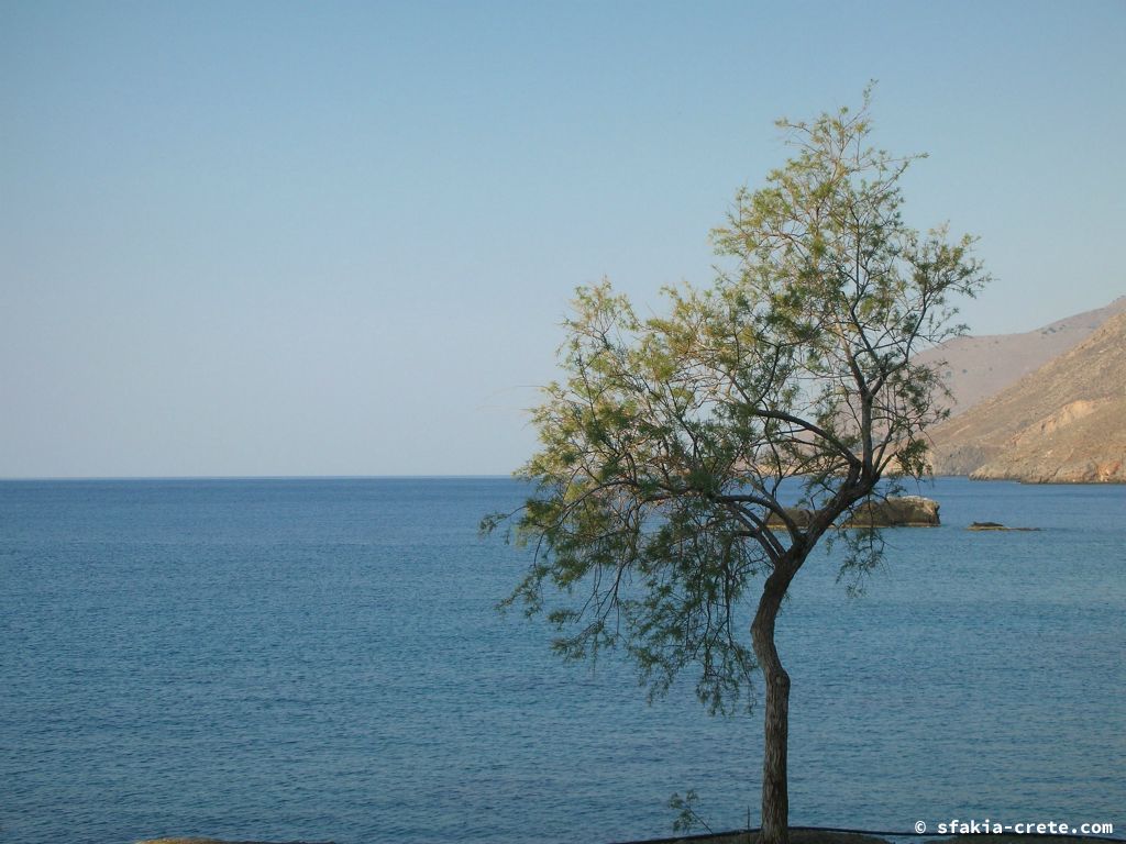 Photo report of a trip to Loutro, Sfakia, Crete in October 2008