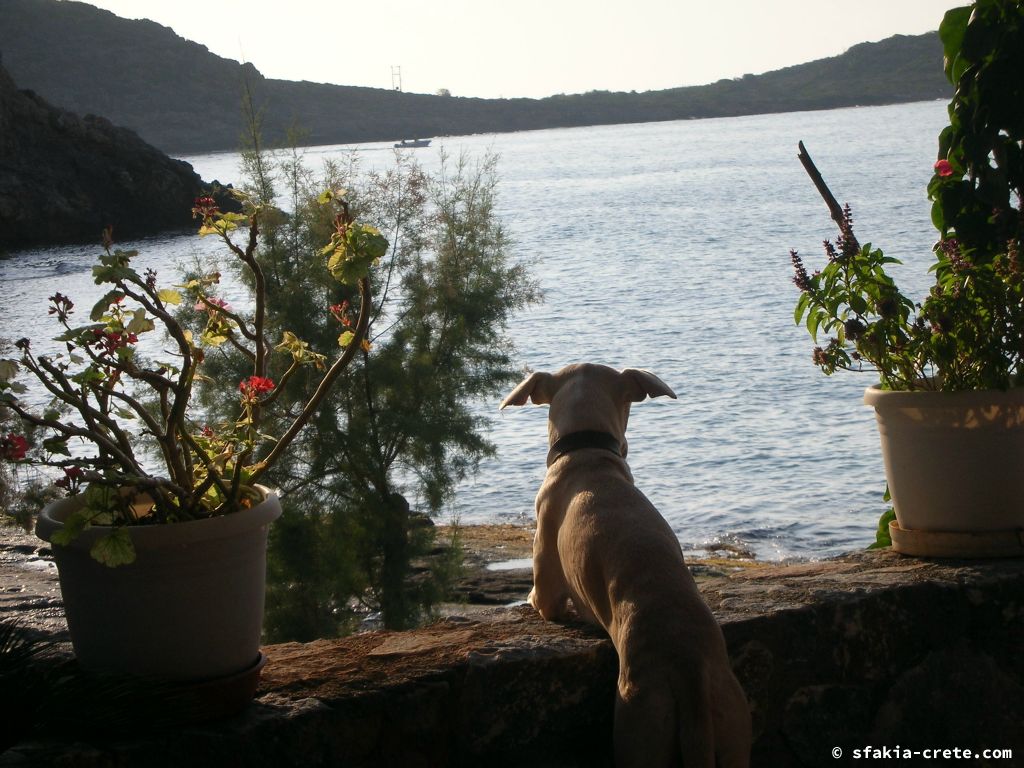 Photo report of a trip to Loutro, Sfakia, Crete in October 2008