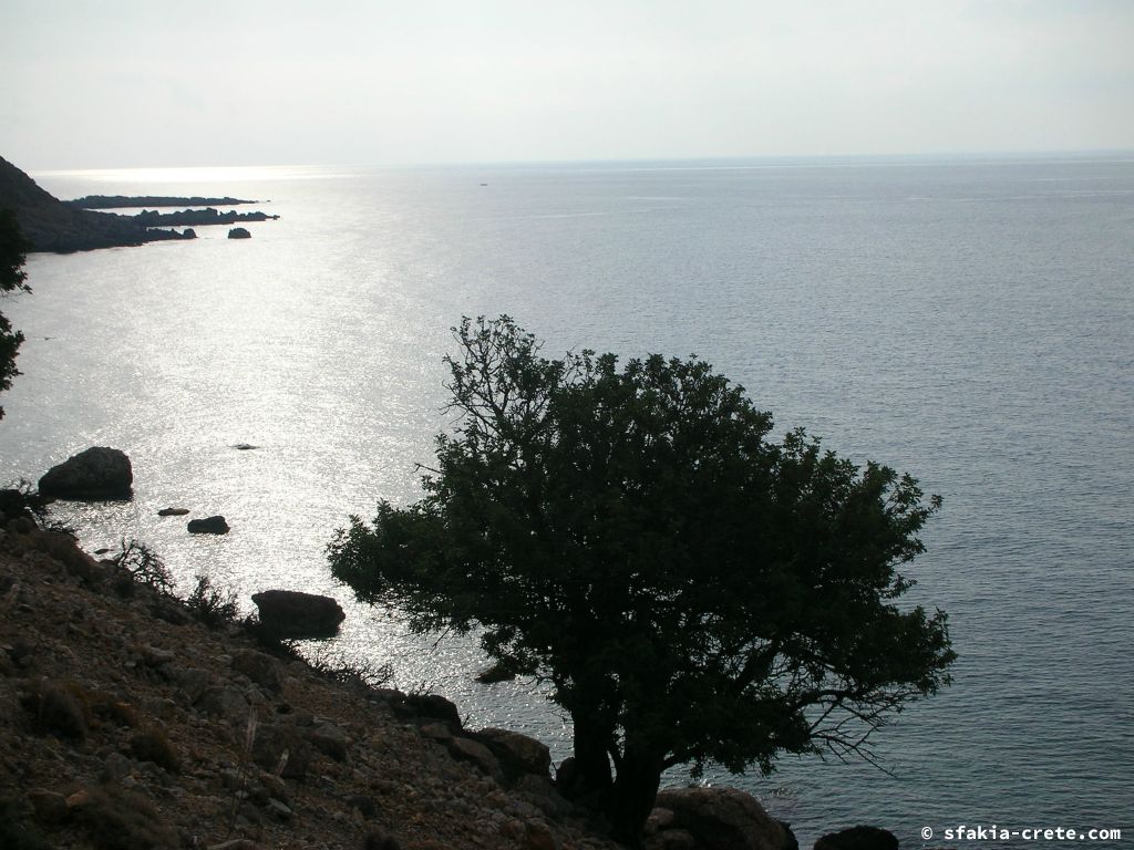 Photo report of a trip to Loutro, Sfakia, Crete in October 2008