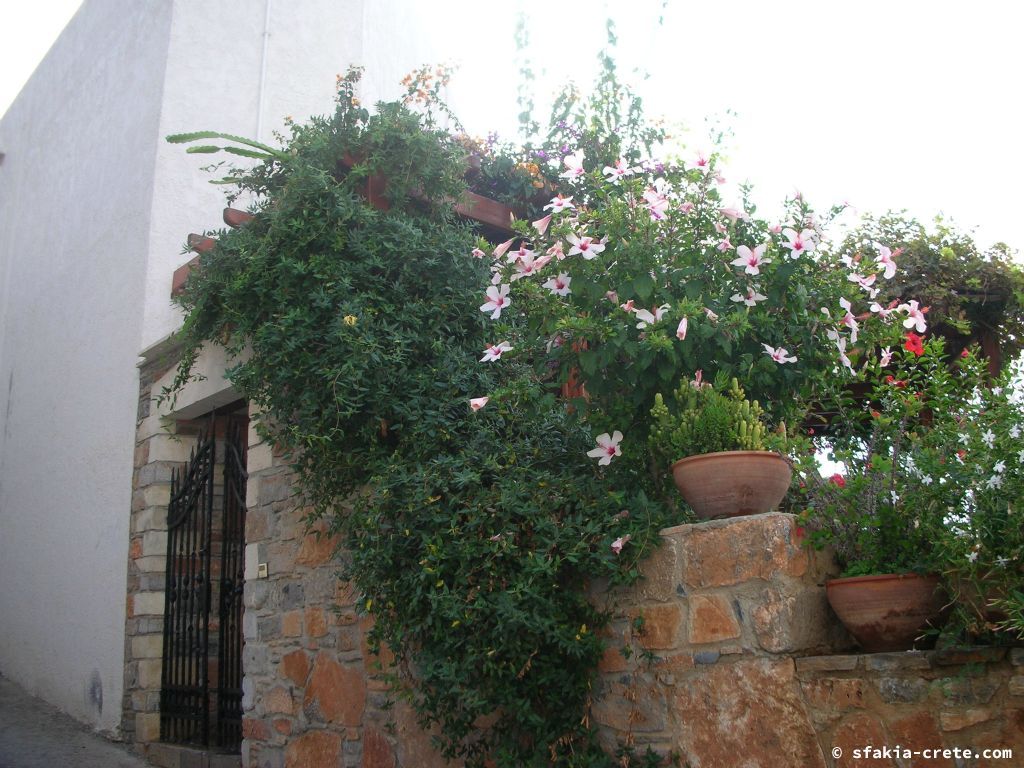 Photo report of a trip to Loutro, Sfakia, Crete in October 2008