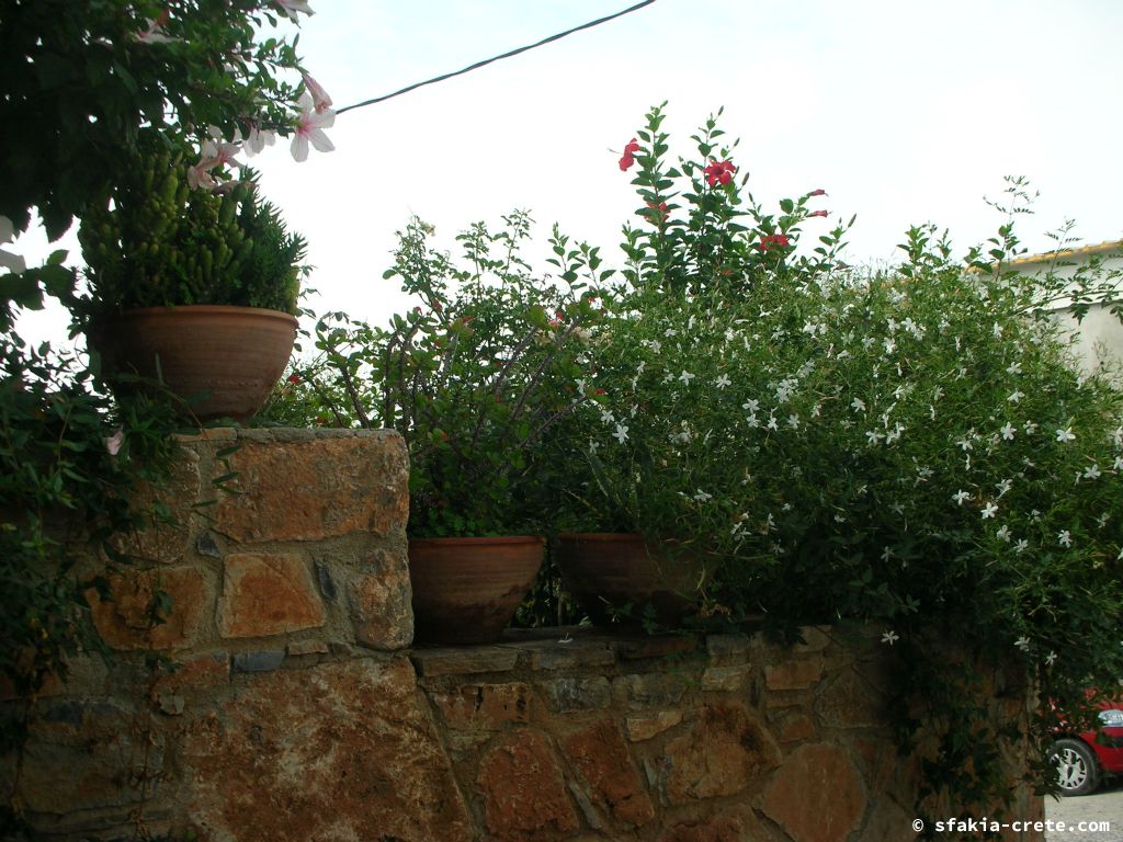 Photo report of a trip to Loutro, Sfakia, Crete in October 2008