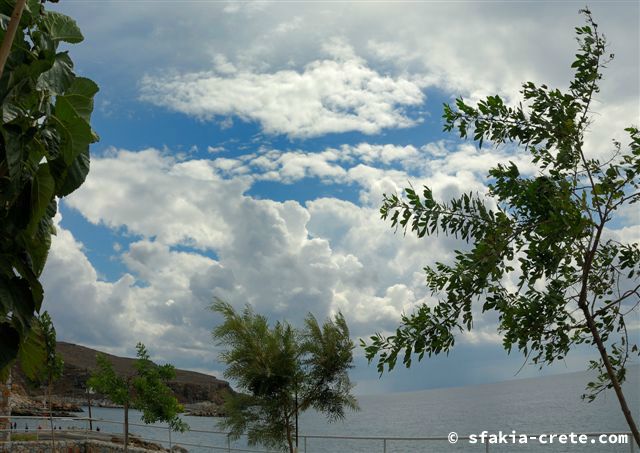 Photo report of a stay around Sfakia, Crete in September - October 2008