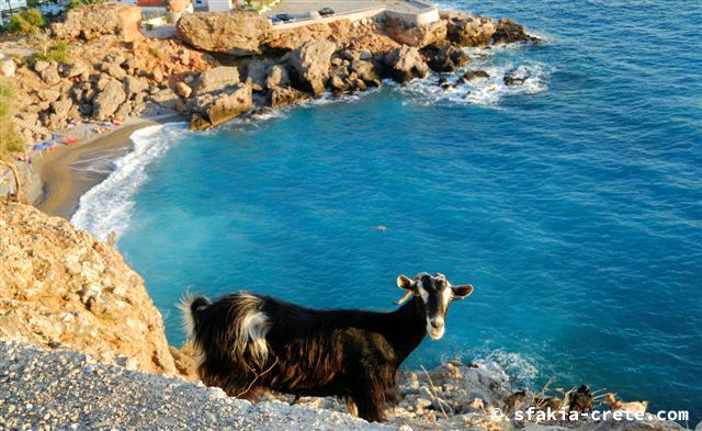 Photo report of a stay around Sfakia, Crete in September - October 2008