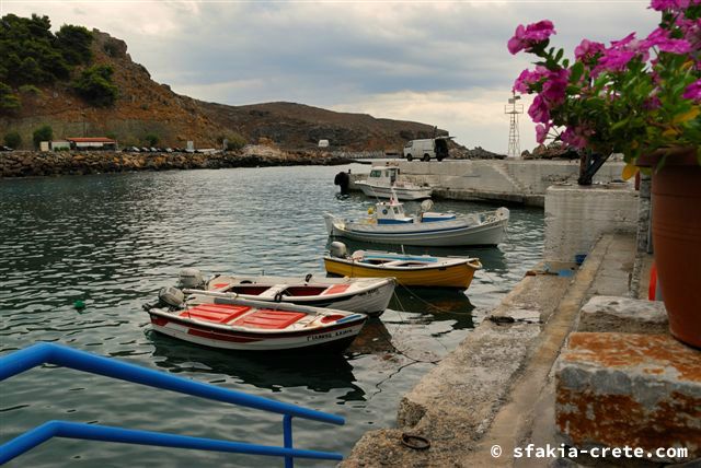 Photo report of a stay around Sfakia, Crete in September - October 2008