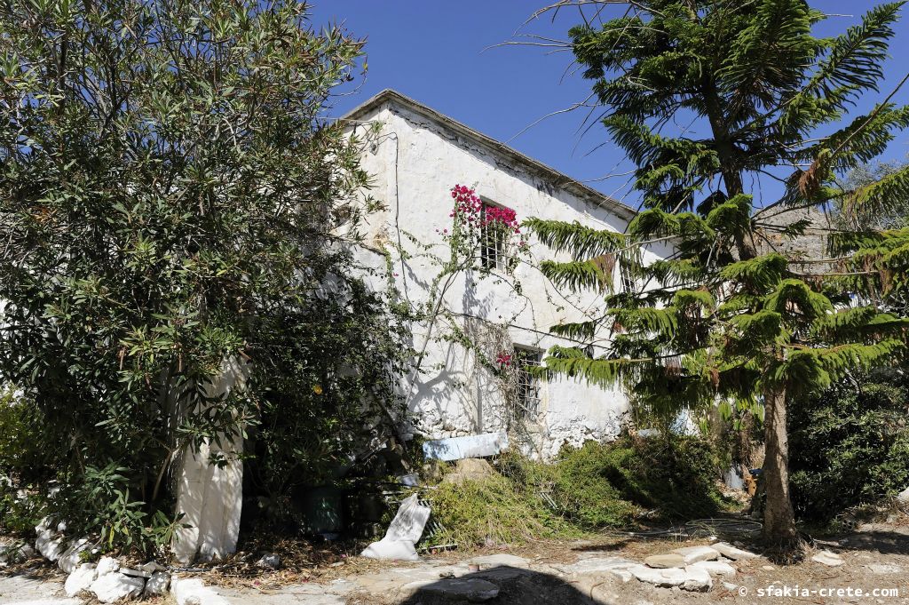 Photo report of a stay in and around Chora Sfakion, Sfakia Crete October 2008