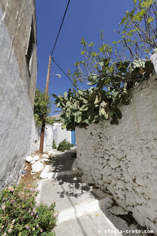 Photo report of a stay in and around Chora Sfakion, Sfakia Crete October 2008