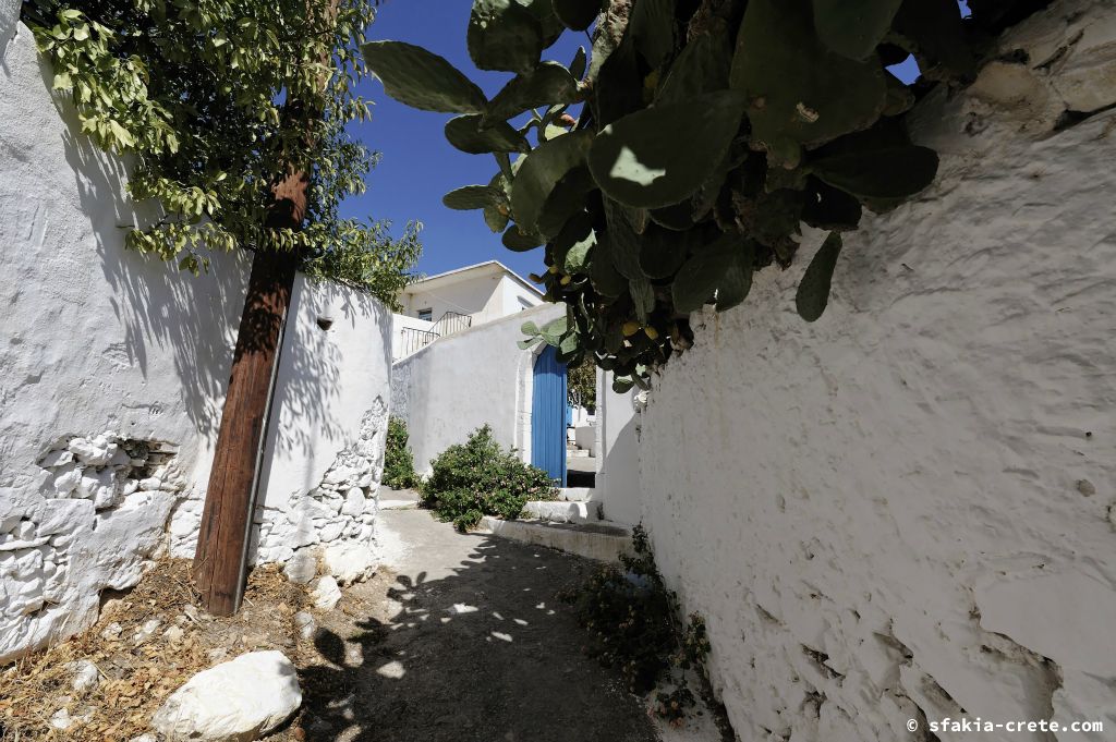 Photo report of a stay in and around Chora Sfakion, Sfakia Crete October 2008