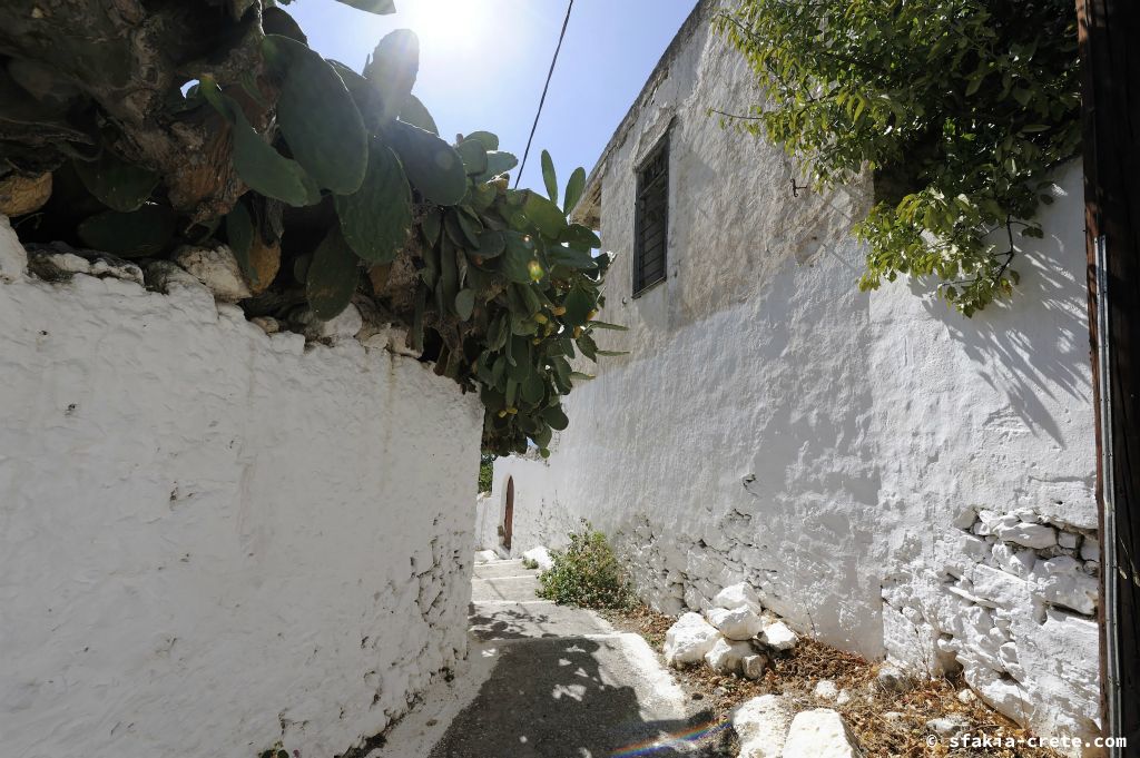 Photo report of a stay in and around Chora Sfakion, Sfakia Crete October 2008