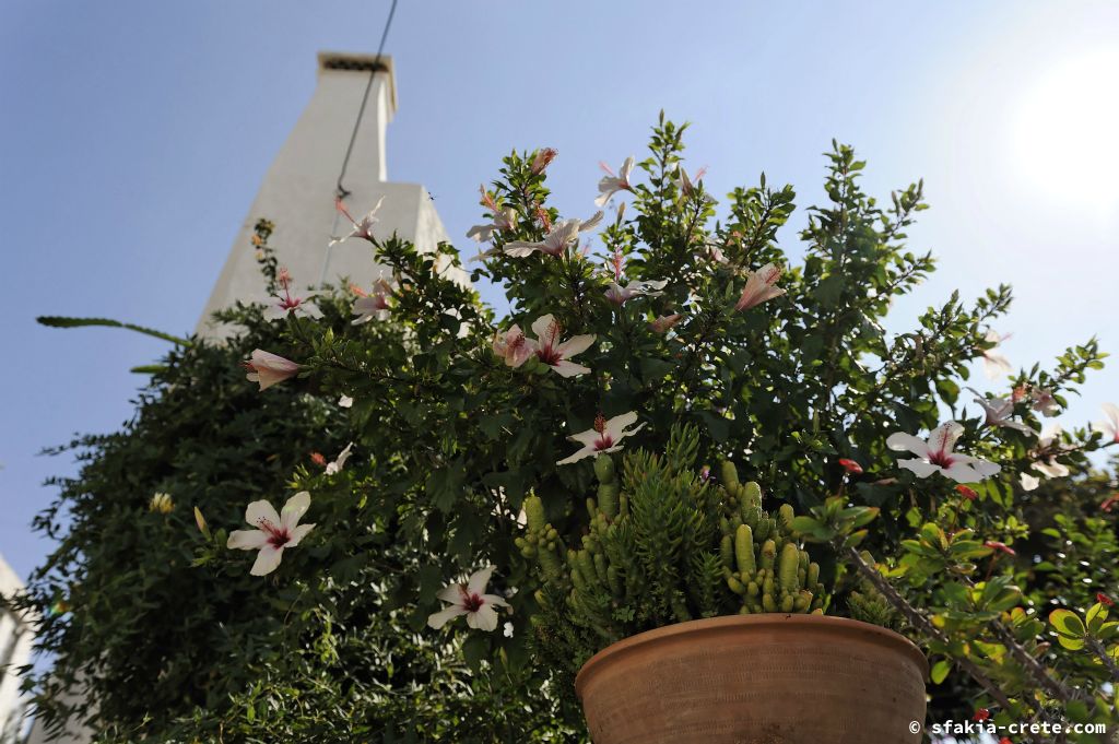 Photo report of a stay in and around Chora Sfakion, Sfakia Crete October 2008