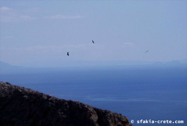 Photo report of a walk around Loutro, Sfakia, Crete, September 2008