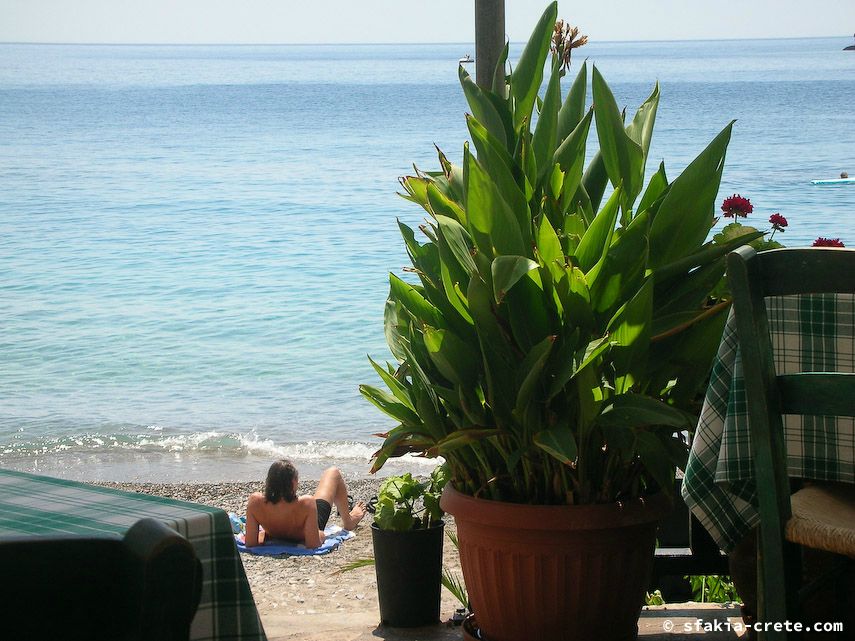 Photo report of a visit to Chora Sfakion - Loutro - Lykos, Sfakia, Crete, July - August 2008