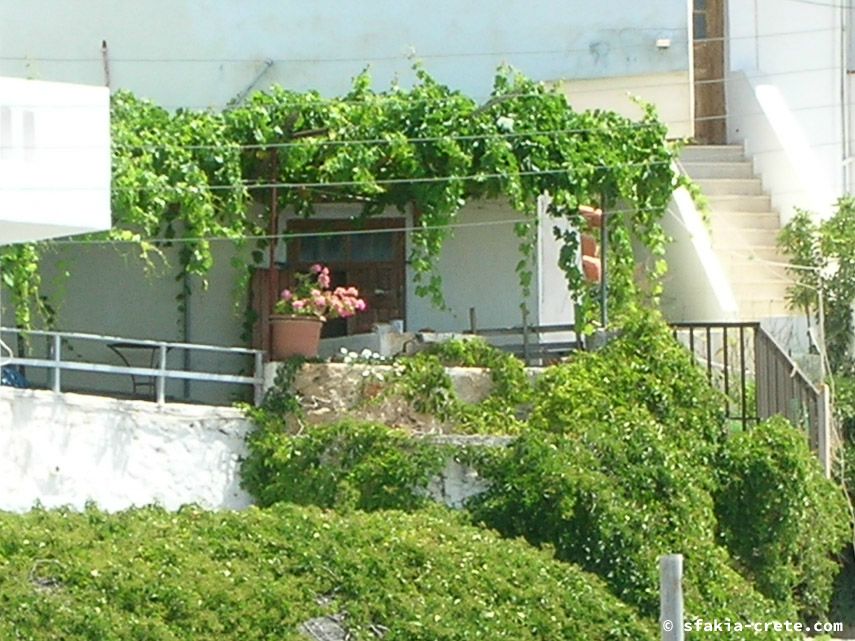 Photo report of a visit to Chora Sfakion - Loutro - Lykos, Sfakia, Crete, July - August 2008