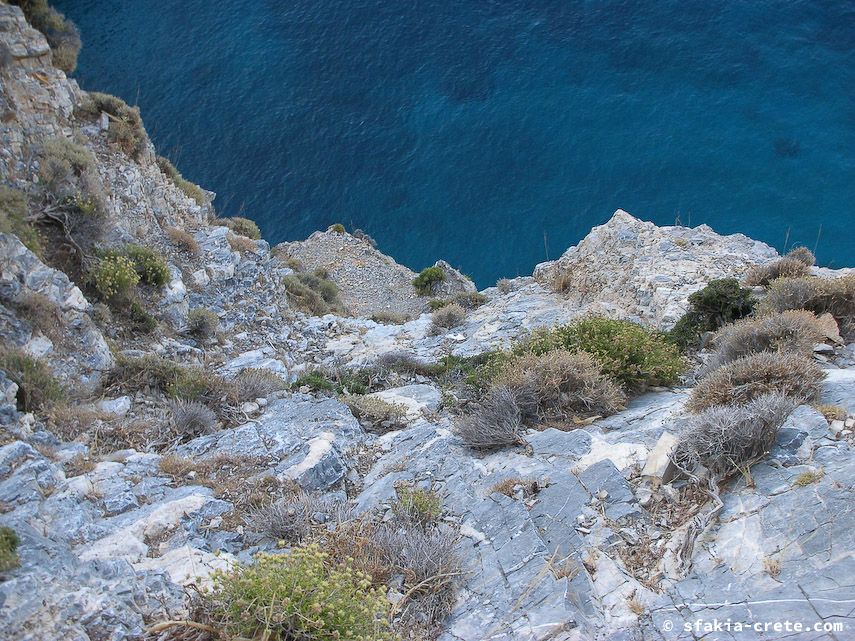 Photo report of a visit to Chora Sfakion - Loutro - Lykos, Sfakia, Crete, July - August 2008