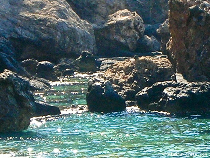 Photo report of a visit to Chora Sfakion - Loutro - Lykos, Sfakia, Crete, July - August 2008