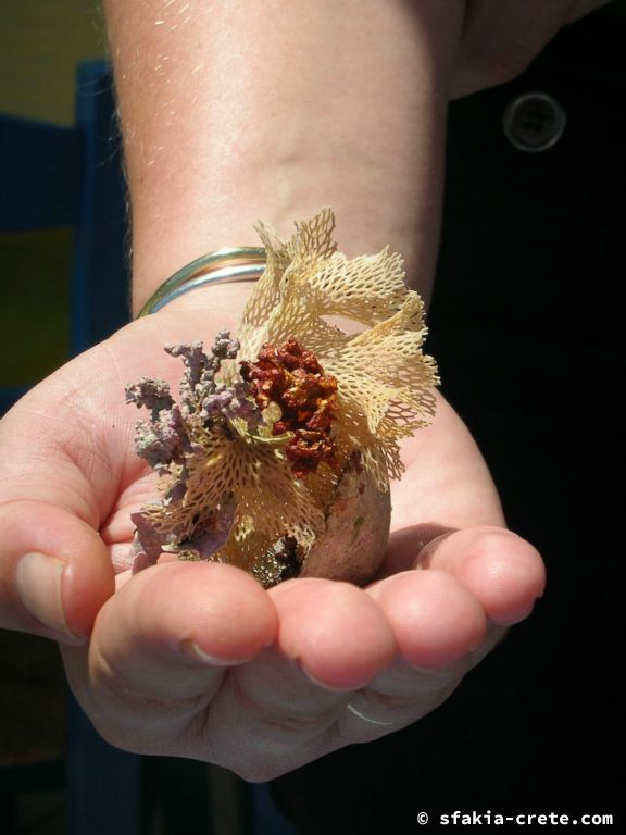 Photo report of a visit to Chora Sfakion - Loutro - Lykos, Sfakia, Crete, July - August 2008