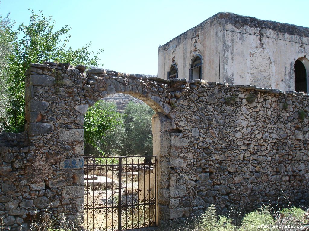 Photo report of a visit around Sfakia, Crete, June - July 2008