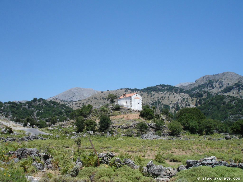 Photo report of a visit around Sfakia, Crete, June - July 2008