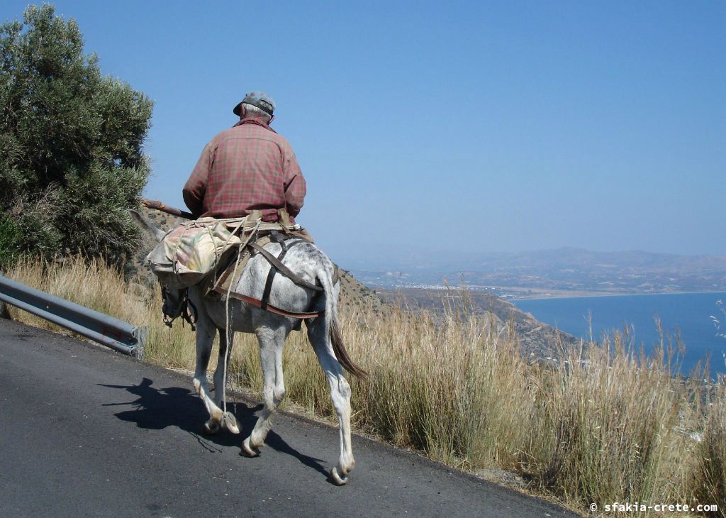 Photo report of a visit around Sfakia, Crete, June - July 2008