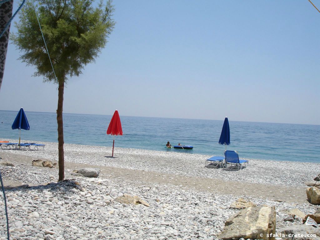 Photo report of a visit around Sfakia, Crete, June - July 2008