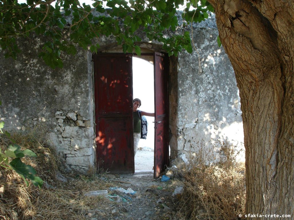 Photo report of a visit around Sfakia, Crete, June - July 2008