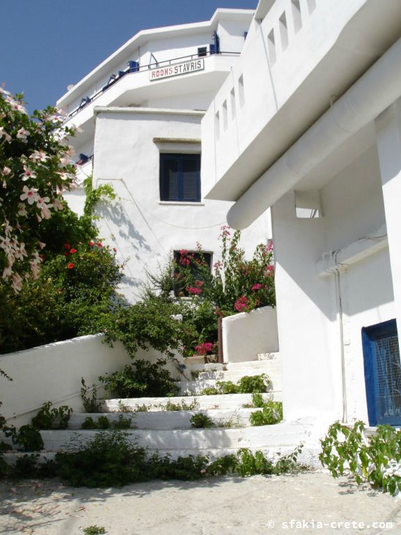 Photo report of a visit around Sfakia, Crete, June - July 2008