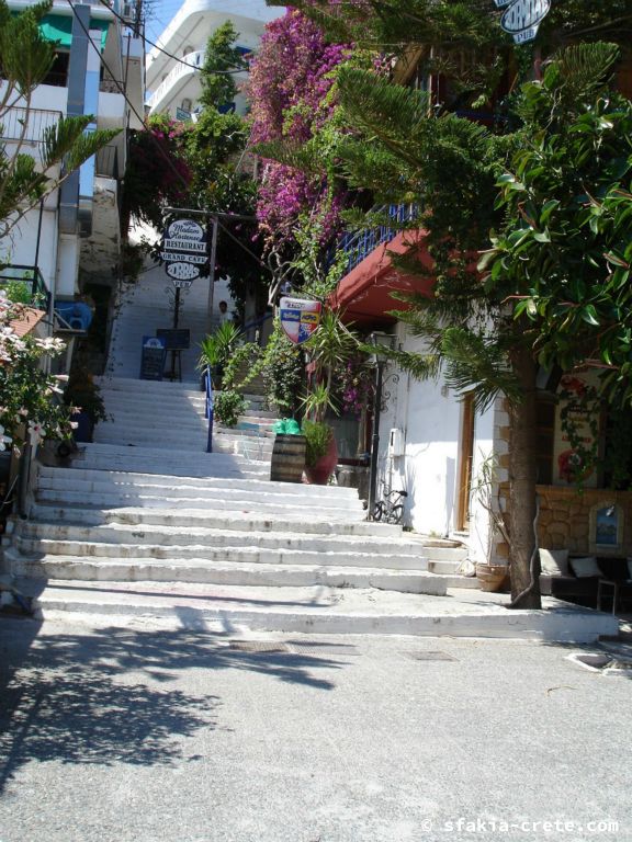 Photo report of a visit around Sfakia, Crete, June - July 2008