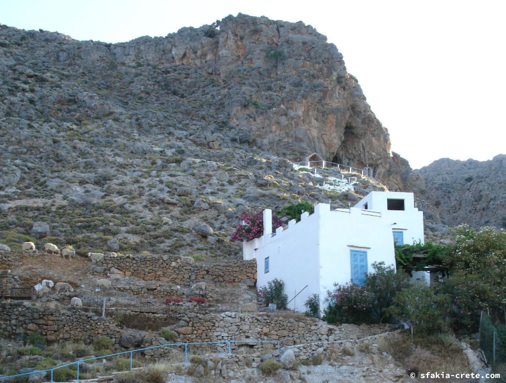 Photo report of a visit around Sfakia, Crete, June - July 2008