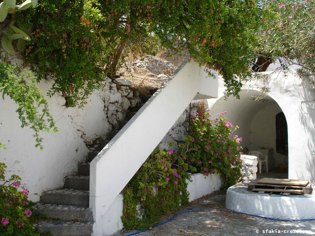 Photo report of a visit around Sfakia, Crete, June - July 2008