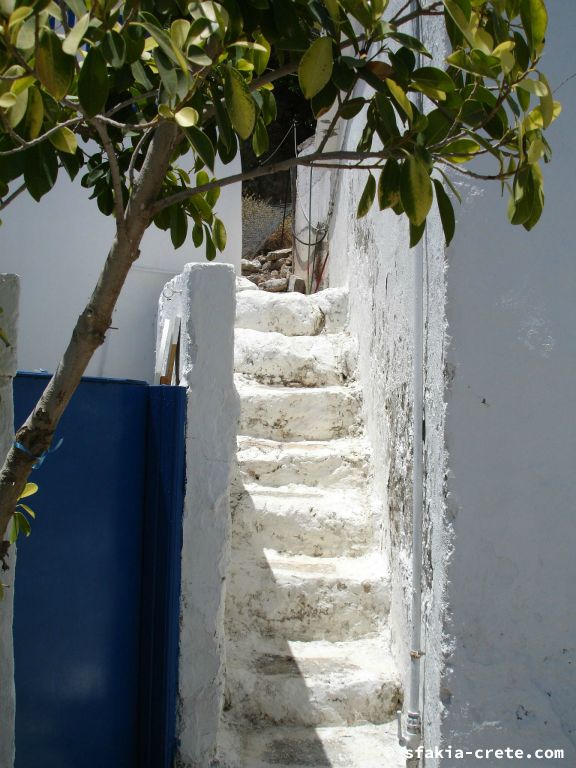 Photo report of a visit around Sfakia, Crete, June - July 2008