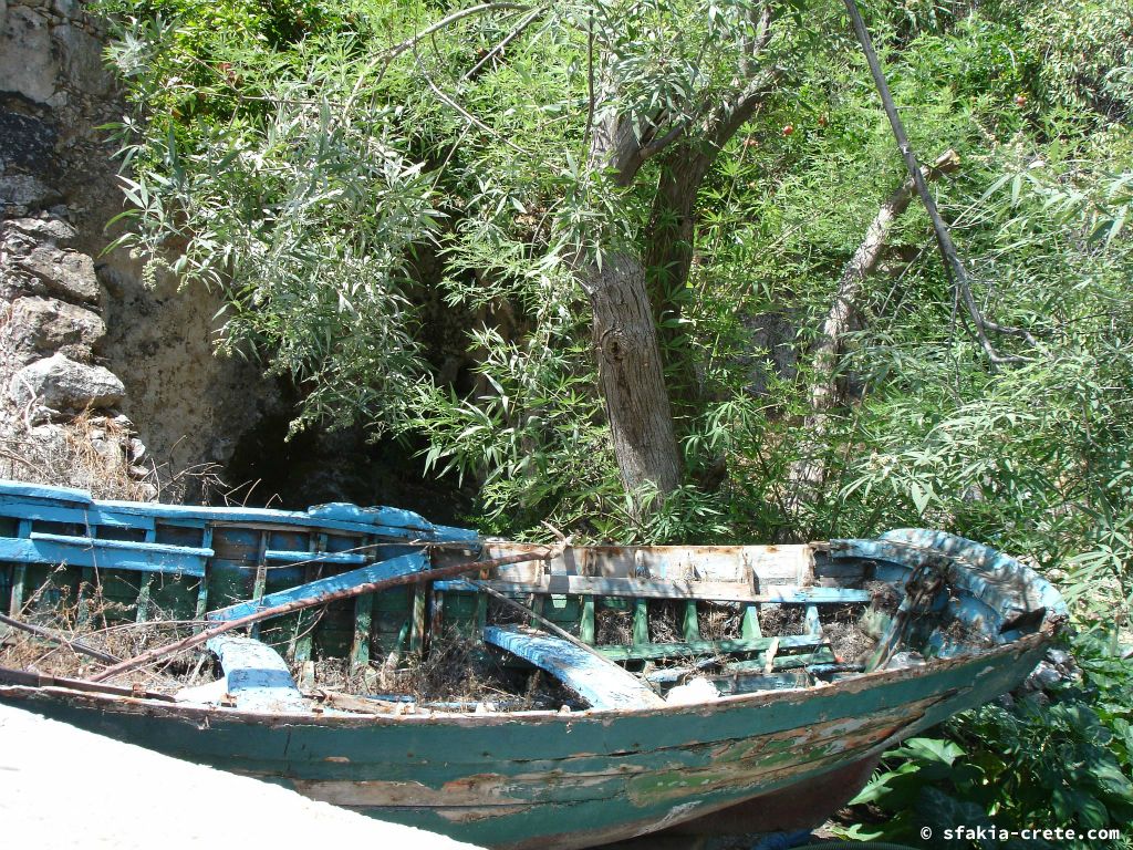 Photo report of a visit around Sfakia, Crete, June - July 2008