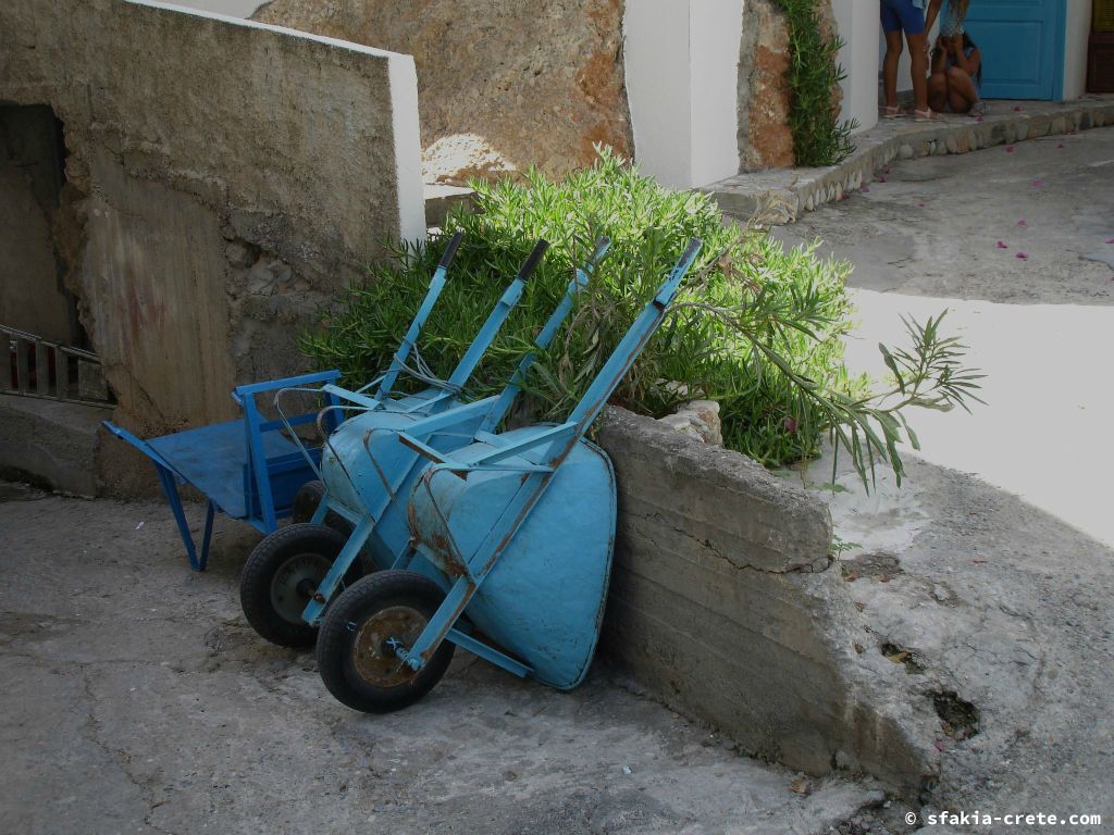 Photo report of a visit around Sfakia, Crete, June - July 2008