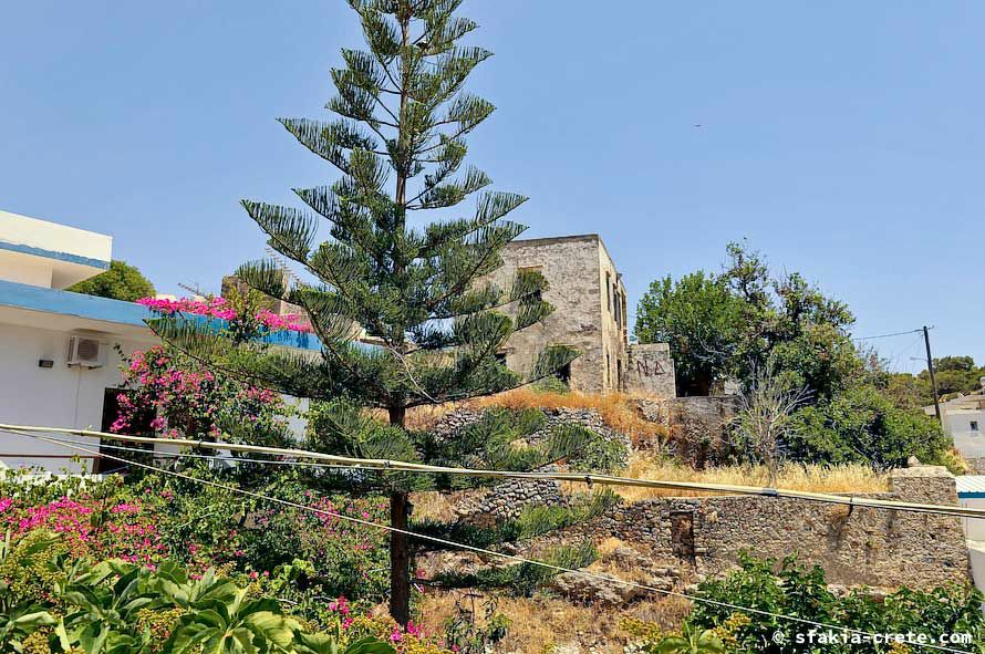 Photo report of a stay around Chora Sfakion, Sfakia, Crete, May - June 2008