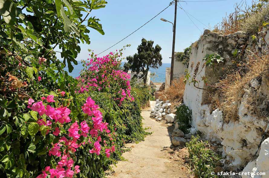 Photo report of a stay around Chora Sfakion, Sfakia, Crete, May - June 2008