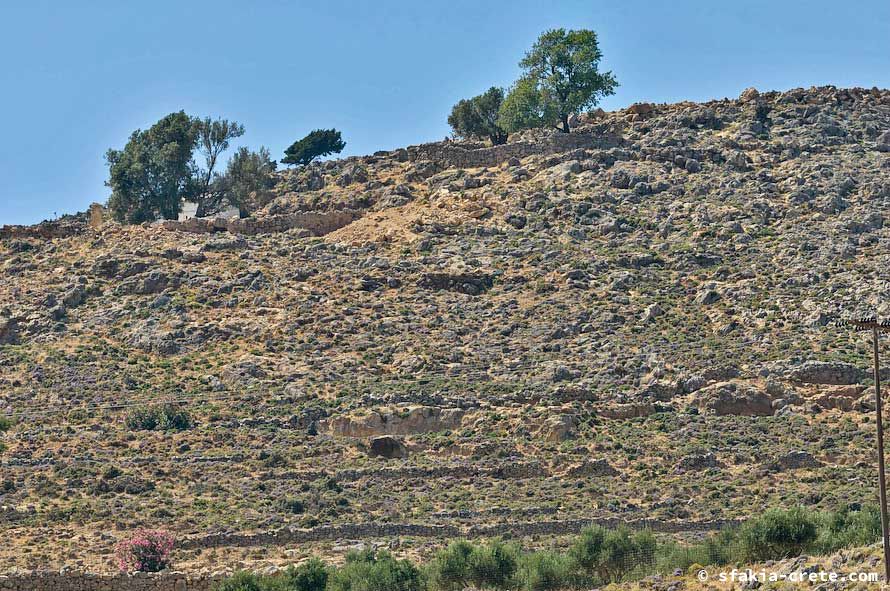 Photo report of a stay around Chora Sfakion, Sfakia, Crete, May - June 2008