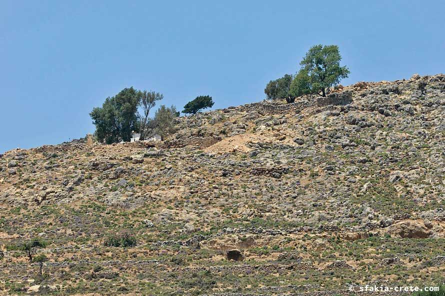 Photo report of a stay around Chora Sfakion, Sfakia, Crete, May - June 2008, part 1