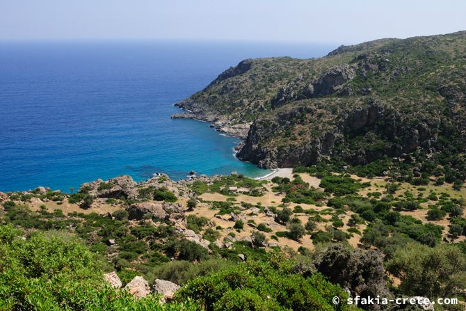 Photo report of a stay in Sfakia and Crete, May 2008