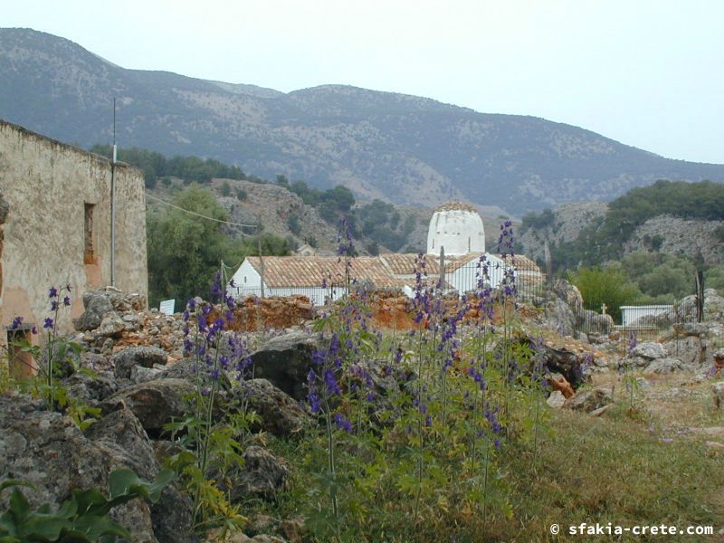 Photo report of a stay in and around Sfakia and Crete, May 2008